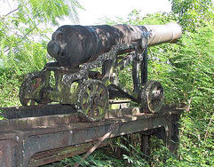 Fort Haldene