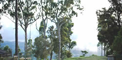 Hollywell National Park